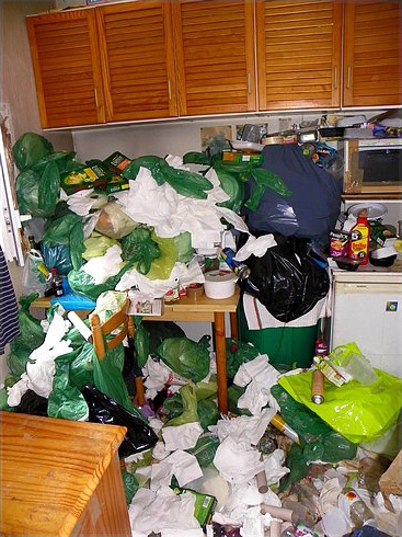 Équipe professionnelle